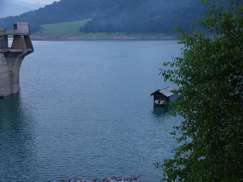 paltinu