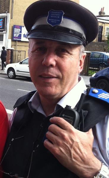 ion lemnaru