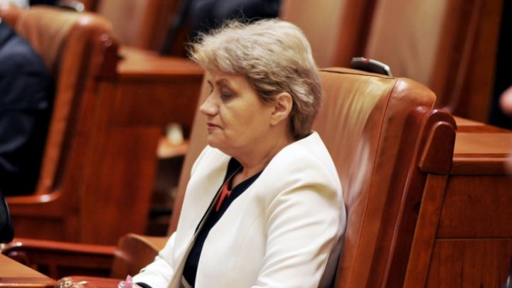 Senatorul