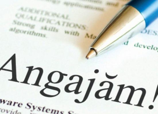 Observatorulph.ro, în colaborare cu AJOFM Prahova, vă pune la dispoziţie lista cu locurile de muncă vacante, aflate în baza de date a agenţiei pentru zona Câmpina.