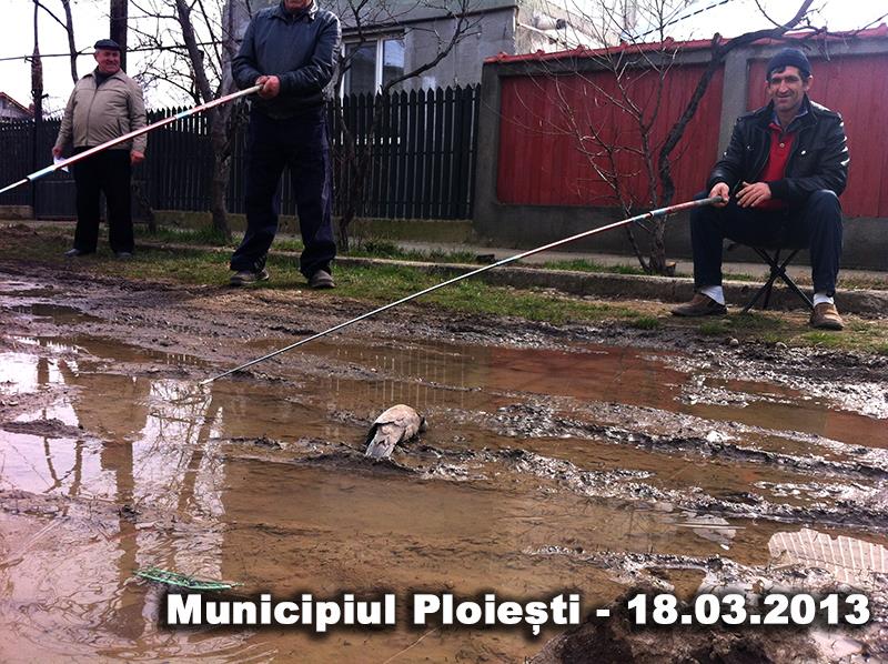 ploiesti 2013