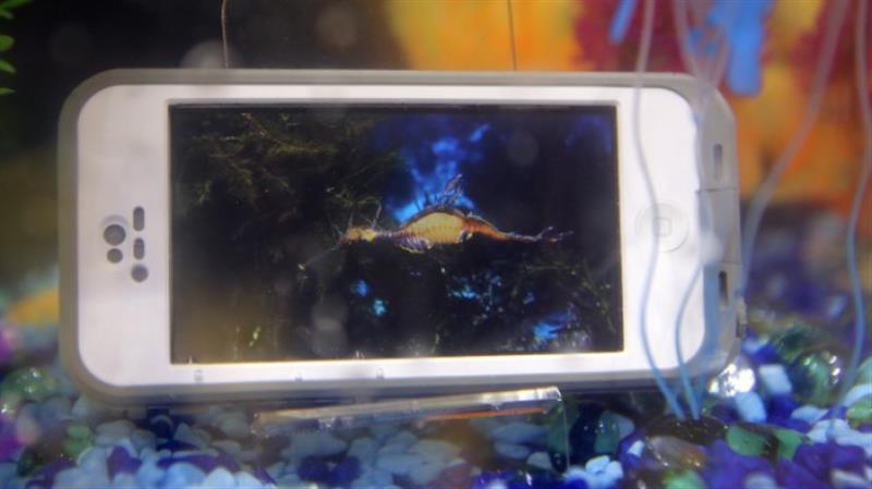 A fost inventata carcasa care iti face smartphoneul rezistent la apa