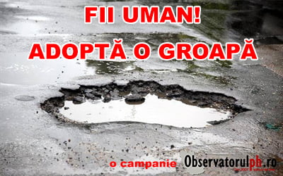 fii uman adopta o gropa