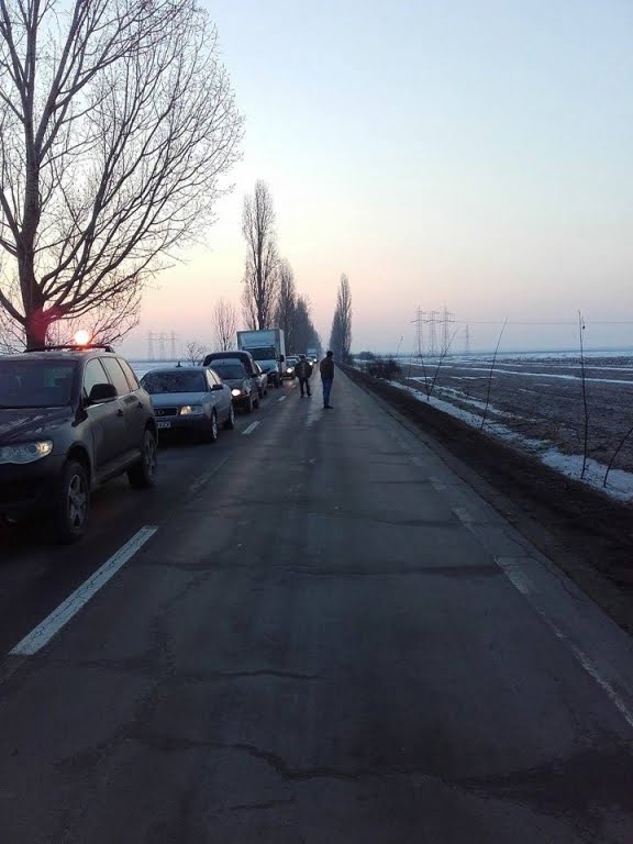 cozi albesti2
