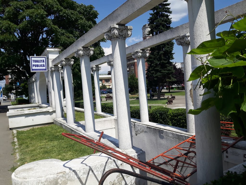 toaleta.jpg