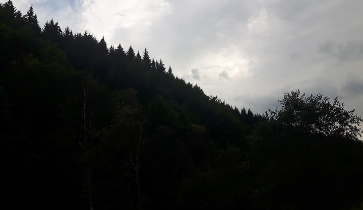 prahova-paduri-turism.jpg