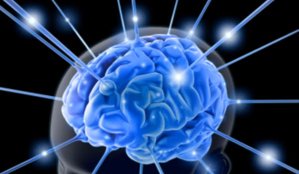 brain-763982.jpg