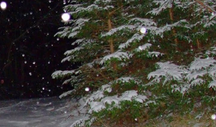 ninsoare-noaptea-munte-varful-omu.jpg