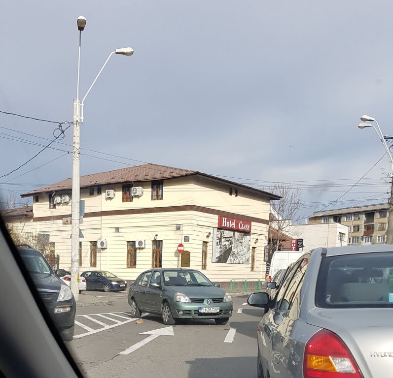 a parcat ca un bou.jpg