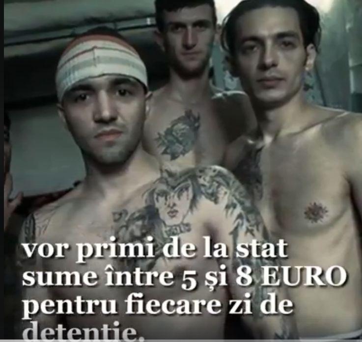 puscarie.jpg
