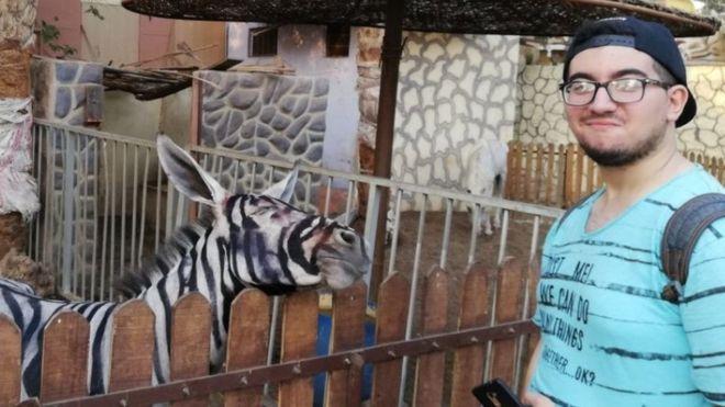 _102700595_zebradonkey.jpg