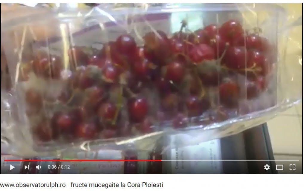 cora-mucegai.jpg