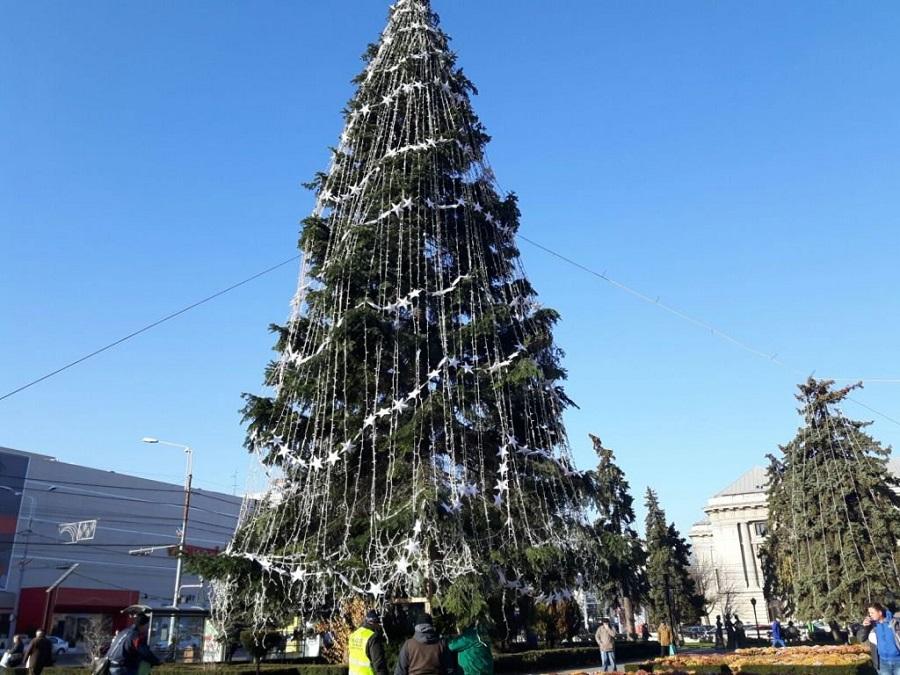 brad-craciun-ploiesti.jpg