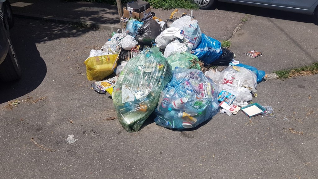 WhatsApp_Image_2019-07-01_at_09.55.38_ff87a.jpeg