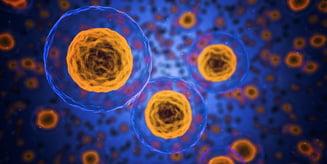 Experiment-revolutionar--Celule-canceroase--transformate-in-grasime--Nici-nu-s-au-mai-inmultit_54db7.jpg