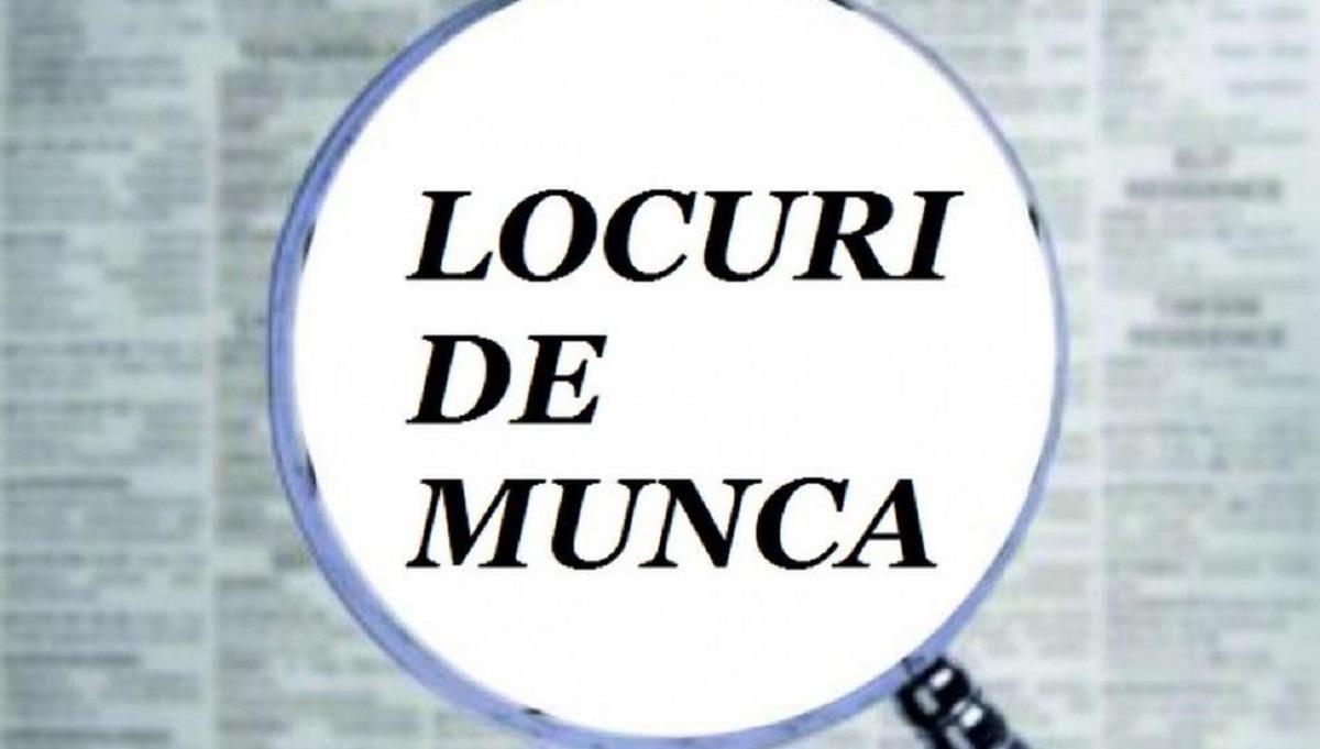 locuri_de_munca_b44e2.jpg