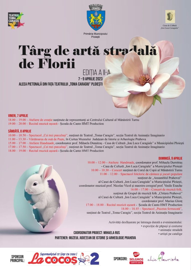 afis targ arta stradala florii toma caragiu