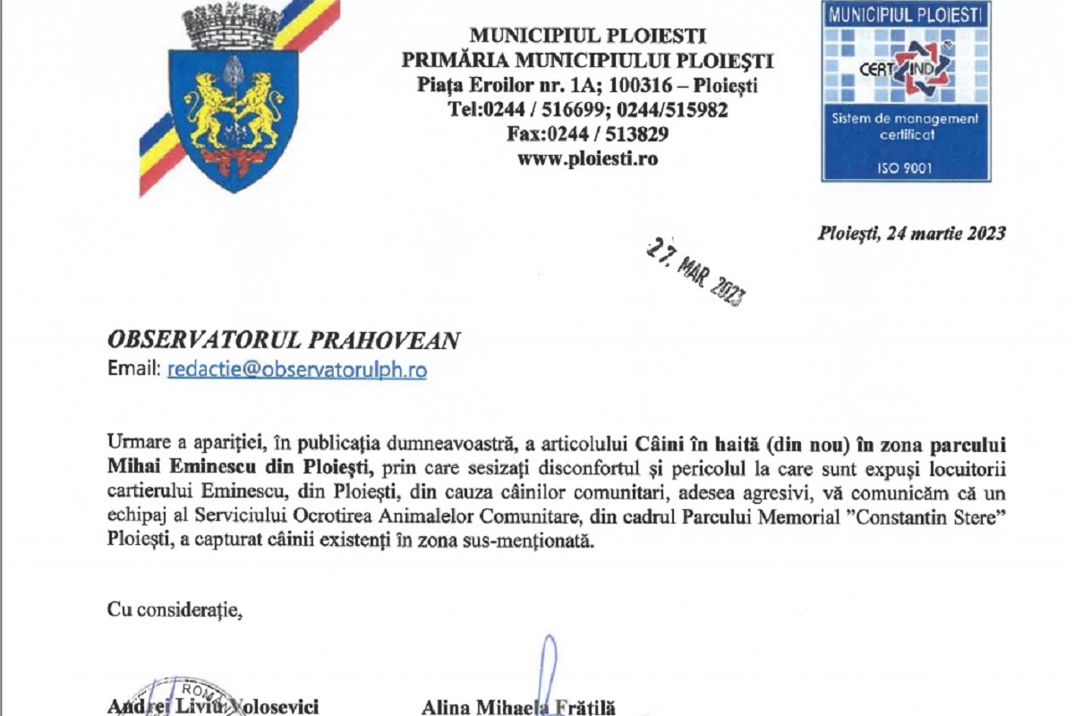 informare primarie caini comunitari