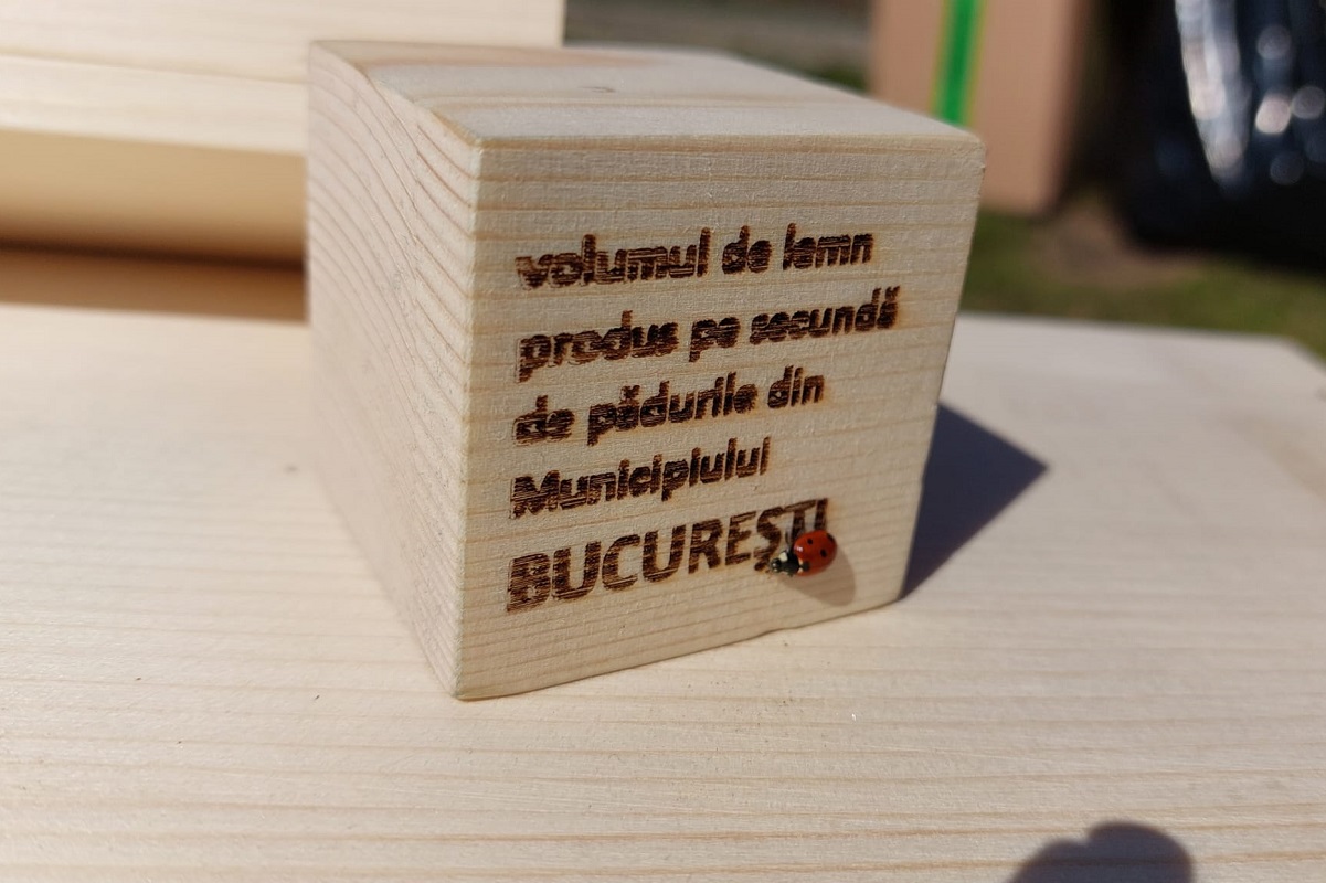 cuburi realizate de asociatia padurea copiilor