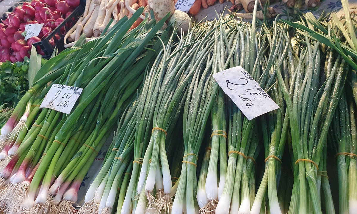 ceapa verde