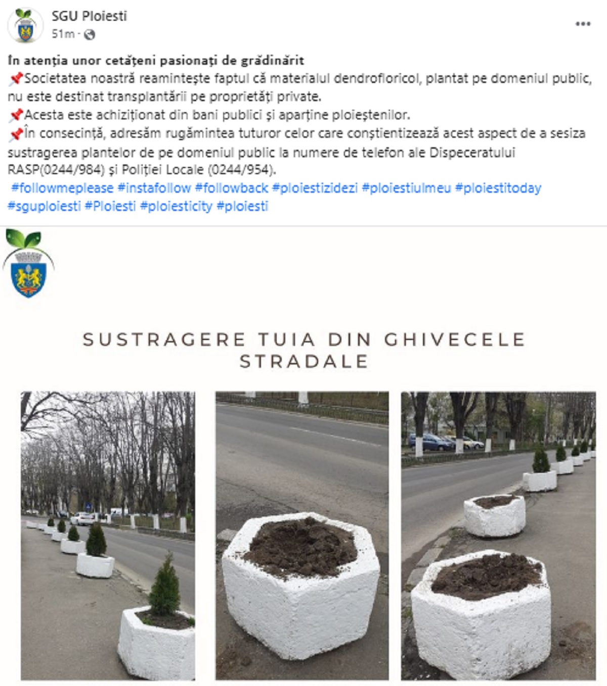 anunt SGU furt tuia
