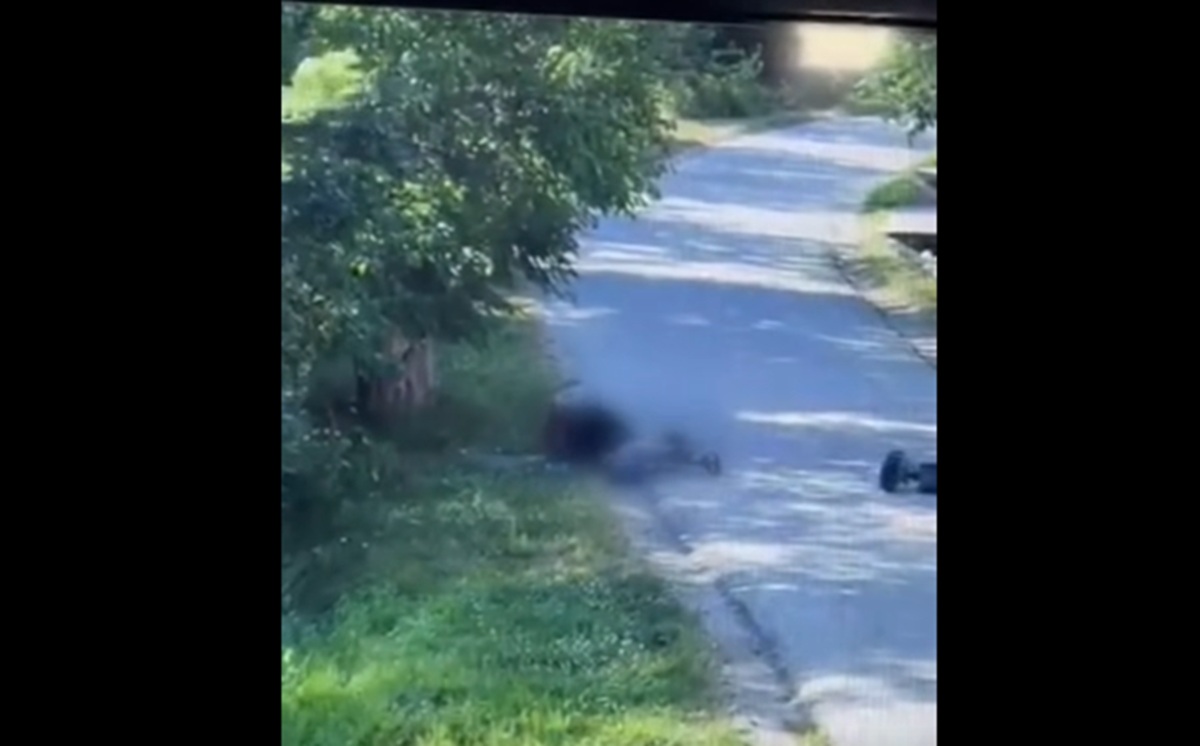 Avertismentul Poliției Române pentru părinți: „Ți-ai mai lăsa copilul să plece cu trotineta?” – VIDEO