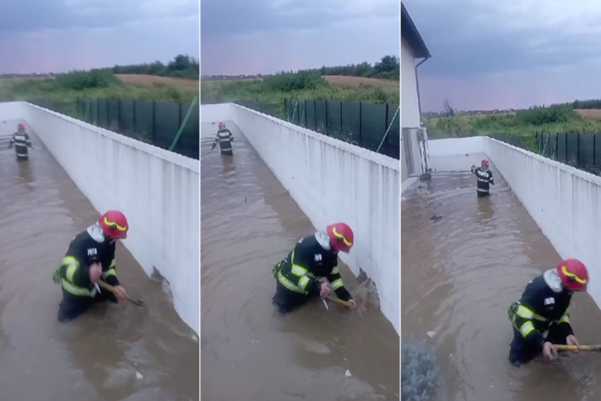 Ploi torențiale în Prahova. Gospodării inundate la Păulești și Filipeștii de Târg. Cod roșu de inundații pe râul Provița