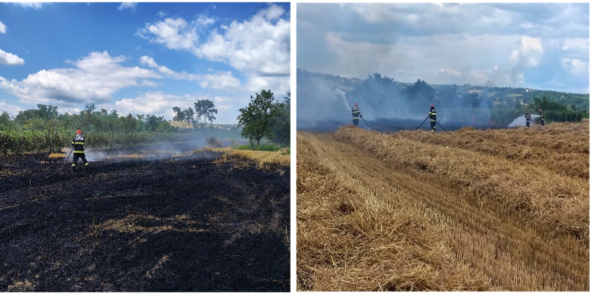 Două incendii de vegetație în Prahova, în aceeași zi. Zeci de mii de metri pătrați și hectare de grâu au fost distruse